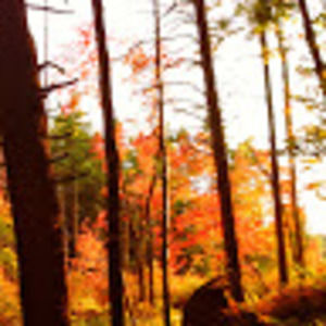 Meet your Posher, Jane